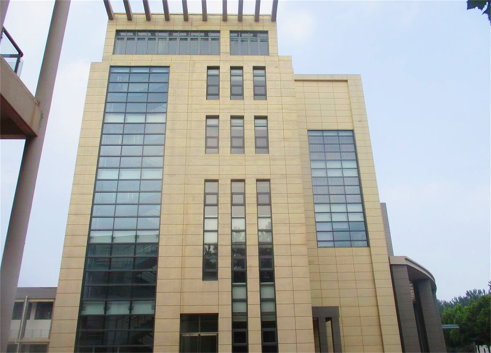 职业大学项目