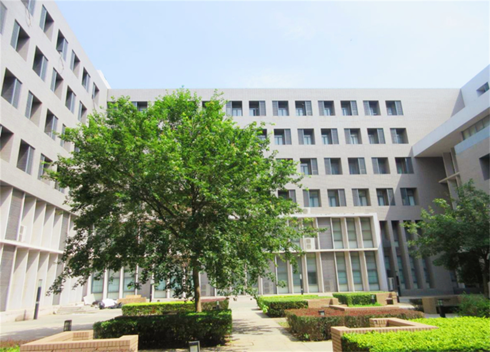 职业大学项目